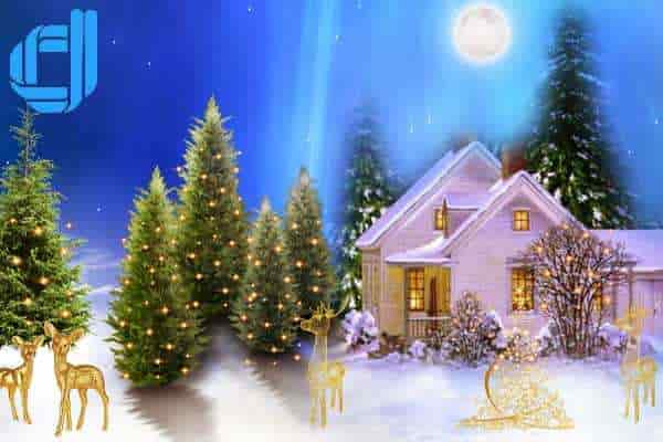vậy đơn vị nào thi công cây thông noel nhanh chuyên nghiệp tại đà nẵng
